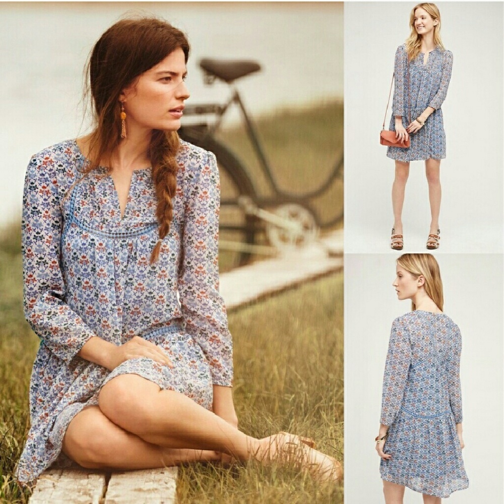 Holding horses dress